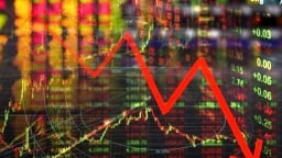 Hàng loạt cổ phiếu trắng bên mua, VN-Index giảm nhẹ