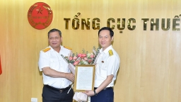 Ông Nguyễn Tài Hải giữ chức Phó cục trưởng Cục Thuế Doanh nghiệp lớn