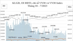 Hơn 1,3 triệu tài khoản giao dịch chứng khoán phái sinh được mở