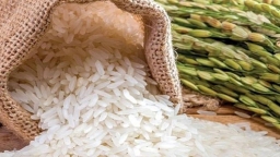 Giá gạo tăng vọt lên mức cao nhất trong gần 15 năm