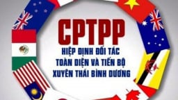 Malaysia, Chile và Brunei được bổ sung áp dụng thuế xuất nhập khẩu ưu đãi theo CPTPP