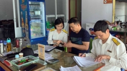 Cục Thuế Quảng Ninh thu ngân sách 8 tháng đạt trên 26 nghìn tỷ đồng