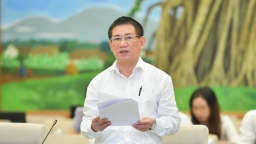 Bộ trưởng Hồ Đức Phớc: Việt Nam cần khẳng định áp thuế tối thiểu toàn cầu
