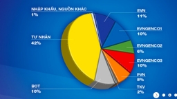 EVN chỉ còn nắm giữ trực tiếp gần 11% nguồn điện