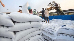 Giá gạo Việt cao, xuất khẩu gạo dự báo lập kỷ lục mới