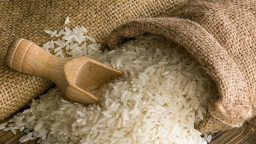Giá gạo Việt tiếp tục tăng lên mốc 663 USD/tấn