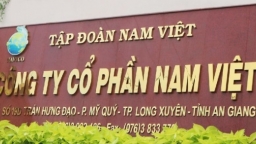 Công ty Nam Việt bị phạt vì vi phạm thuế