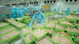Sản xuất kinh doanh thủy sản: Ưu tiên nguồn lực cải thiện hệ thống kiểm soát chất lượng, an toàn thực phẩm