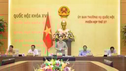 Năm 2024 có thể xem xét, sửa đổi Luật Thuế giá trị gia tăng