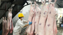 Tăng cường kiểm soát giết mổ động vật, đảm bảo an toàn thực phẩm