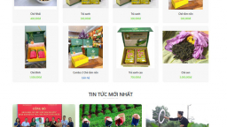 Xây dựng website: Doanh nghiệp ngành Chè mở rộng thị trường, giảm chi phí trung gian
