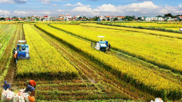 Tăng trưởng ngành Nông nghiệp đạt 3,83%