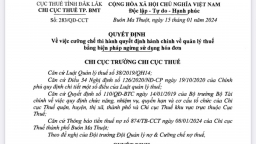 Đăk Lăk: Công ty Yến Tổ Daknest bị cưỡng chế thuế