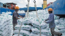 Hơn 160 thương nhân đủ điều kiện kinh doanh xuất khẩu gạo