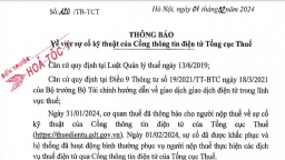 Tổng cục Thuế: Người nộp thuế có thể nộp muộn và không bị phạt