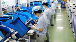 Đề xuất bãi bỏ 12 Thông tư trong lĩnh vực thuế
