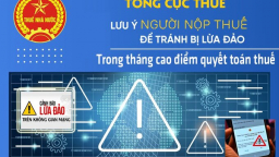 Cơ quan Thuế không ủy quyền cho cá nhân nào thu thuế hộ