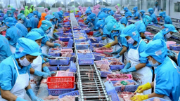 Các thị trường nào mua thủy sản nhiều nhất của Việt Nam trong quý 1/2024?