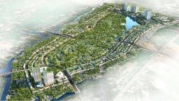 Long An: Chuyển đổi đất trồng lúa sang làm Khu đô thị sinh thái huyện Bến Lức