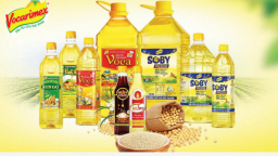 Vi phạm nhiều lỗi, Vocarimex bị phạt 145 triệu đồng
