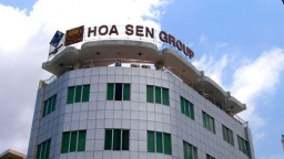 Hoa Sen thay Tổng giám đốc và bổ nhiệm loạt lãnh đạo điều hành