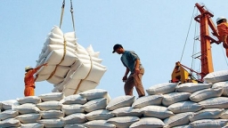 Xuất khẩu gạo mang về cho Việt Nam 1,43 tỷ USD