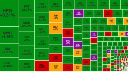 Hàng loạt cổ phiếu tăng trần giúp VN-Index đạt 1.254 điểm