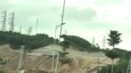 Thanh Hóa: Một doanh nghiệp bị phạt 325 triệu đồng do phá 2,61 ha rừng tự nhiên