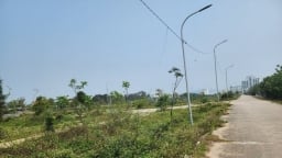 Đông Sơn, Thanh Hóa dự thu hơn 354 tỷ đồng từ đấu giá 427 lô đất