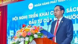 Ông Đào Quang Trường tiếp tục làm Tổng giám đốc VDB