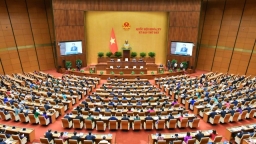 Quốc hội thảo luận về Dự án Luật Thuế VAT sửa đổi