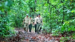 Phân tích thực trạng lựa chọn điểm đến du lịch sinh thái tại Khu Bảo tồn thiên nhiên Bình Châu - Phước Bửu