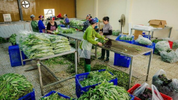 Những chính sách ưu đãi, hỗ trợ về thuế đối với hợp tác xã
