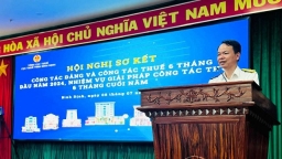 Bình Định thu ngân sách nhà nước 6 tháng đạt trên 50%