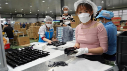 Xử lý nghiêm doanh nghiệp sử dụng thông tin cá nhân để kê khai khống thu nhập