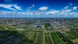 Chính sách phát triển nền kinh tế xanh của Singapore - giá trị tham khảo cho Việt Nam
