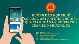 Nộp thuế sử dụng đất phi nông nghiệp qua tài khoản uỷ nhiệm thu tại phường, xã tại Nghệ An