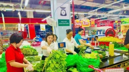 CPI tăng do giá lương thực, thực phẩm, nhà cho thuê, học phí tăng