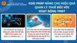 Tiền Giang khuyến nghị các tổ chức, cá nhân kinh doanh TMĐT bằng hình thức livestream bán hàng nộp thuế