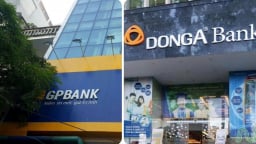 Chính phủ chốt thời gian chuyển giao bắt buộc GPBank, DongA Bank trước 20/12