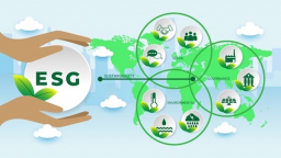 Tăng vốn xanh cho doanh nghiệp nhờ đẩy mạnh bình đẳng giới