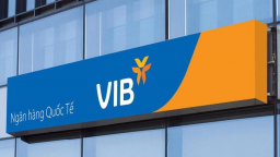 VIB hoàn thành 75% mục tiêu lợi nhuận, nợ có khả năng mất vốn tăng gần gấp ba lần