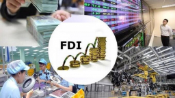 Doanh nghiệp FDI báo lỗ, nộp thuế giảm nhưng vẫn mở rộng sản xuất kinh doanh