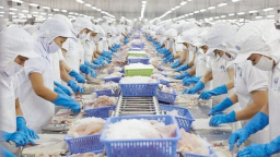 Chuyển đổi xanh, từ áp lực đến cơ hội kinh doanh