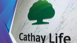 Bảo hiểm Cathay Life Việt Nam và Mirae Asset Prévoir dính loạt sai phạm