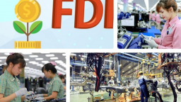 Rà soát, đánh giá việc báo chí phản ánh doanh nghiệp FDI báo lỗ ngày càng tăng