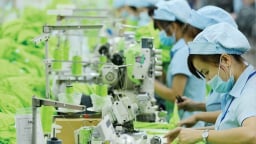 Phòng tránh tình trạng chuyển xuất xứ sang Việt Nam để né thuế