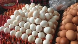 Singapore mở cửa thị trường đối với thịt và trứng gia cầm từ Việt Nam