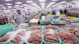 Xuất khẩu nông, lâm, thủy sản đạt gần 16 tỷ USD trong 3 tháng