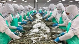 Triển khai gói tín dụng 100.000 tỷ đồng cho nông, lâm, thủy sản